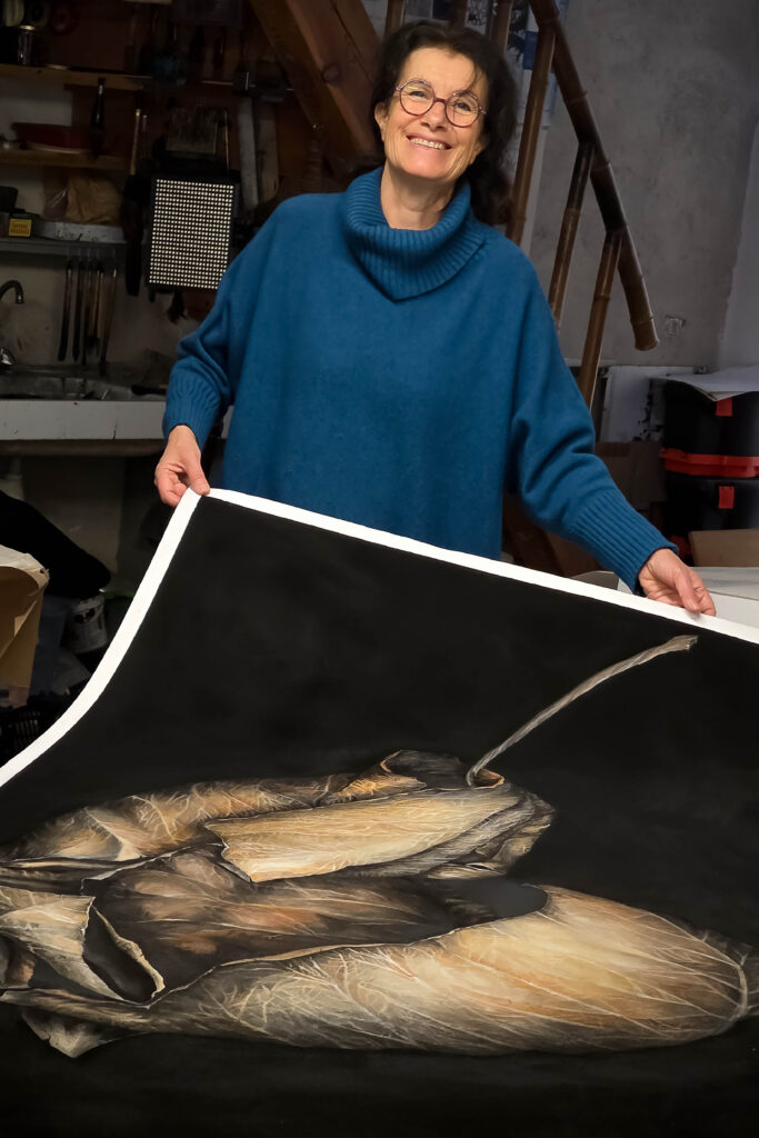 Agrandir l'image, fenêtre modale