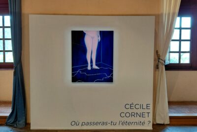Agrandir l'image 10 sur 36, fenêtre modale