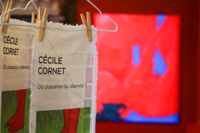 Agrandir l'image 3 sur 36, fenêtre modale