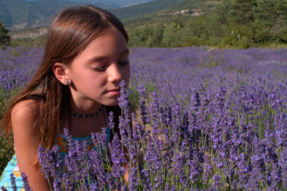 Agrandir l'image, fenêtre modale
