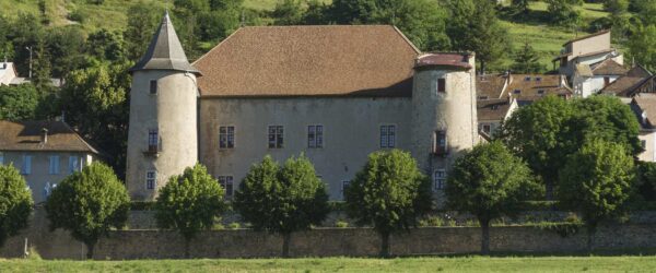 Photo du château de Montmaur