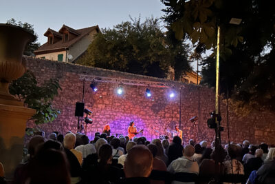 Concert Ter laba  - Agrandir l'image 10 sur 10, fenêtre modale