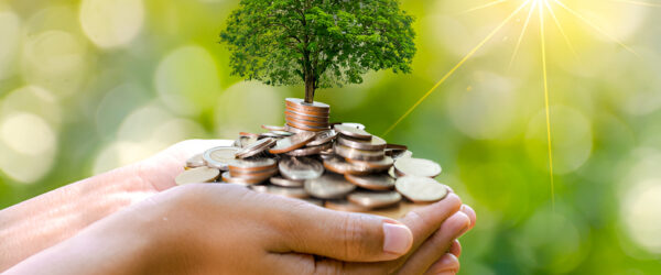 Deux mains rempli de pièces de monnaies, un arbre est représenté au sommet de la pile de pièces. Illustration pour l'onglet "Subventions"