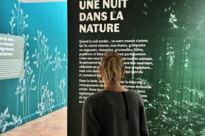 Agrandir l'image, fenêtre modale