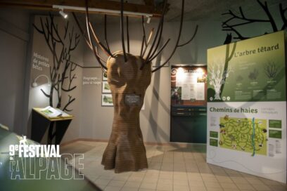 Agrandir l'image, fenêtre modale