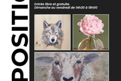 Agrandir l'image, fenêtre modale