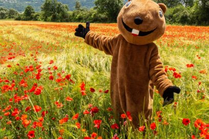 Agrandir l'image, fenêtre modale