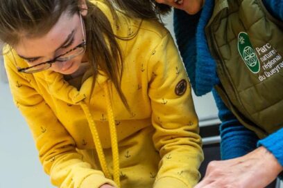 Agrandir l'image, fenêtre modale