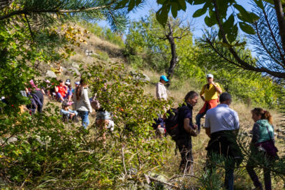 Agrandir l'image, fenêtre modale
