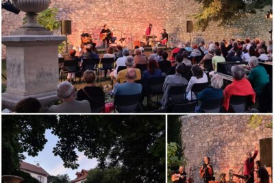 Agrandir l'image 11 sur 11, fenêtre modale