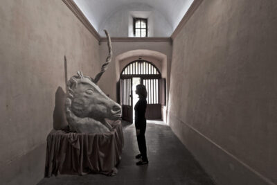 Agrandir l'image 8 sur 15, fenêtre modale