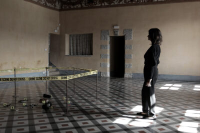 Agrandir l'image 6 sur 15, fenêtre modale