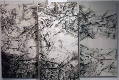 Agrandir l'image 11 sur 15, fenêtre modale