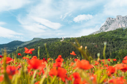 Agrandir l'image, fenêtre modale