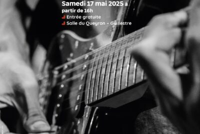 Agrandir l'image 2 sur 3, fenêtre modale